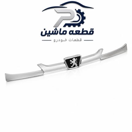 جلو پنجره نقره‌ای با آرم پژو ۲۰۶