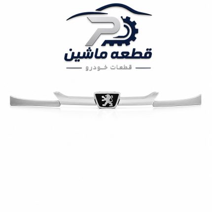 جلو پنجره سفید با آرم پژو ۲۰۶